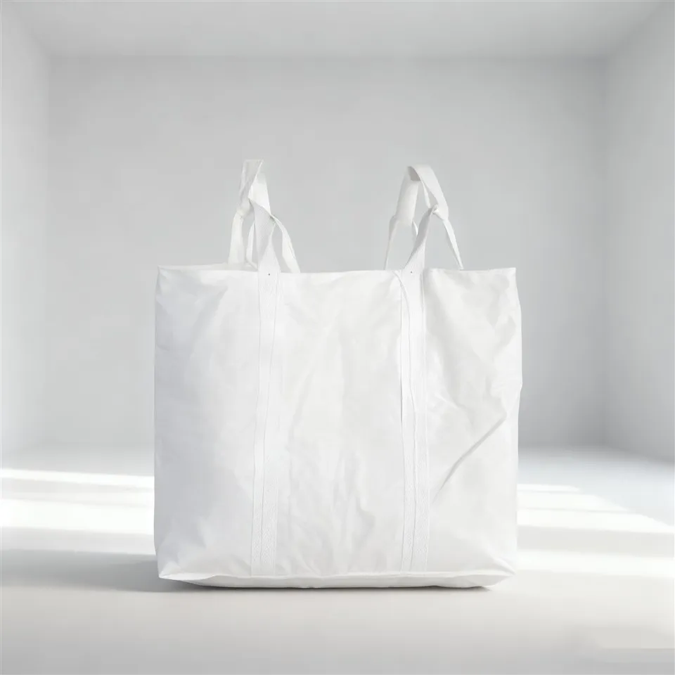 ایف آئی بی سی بیگ